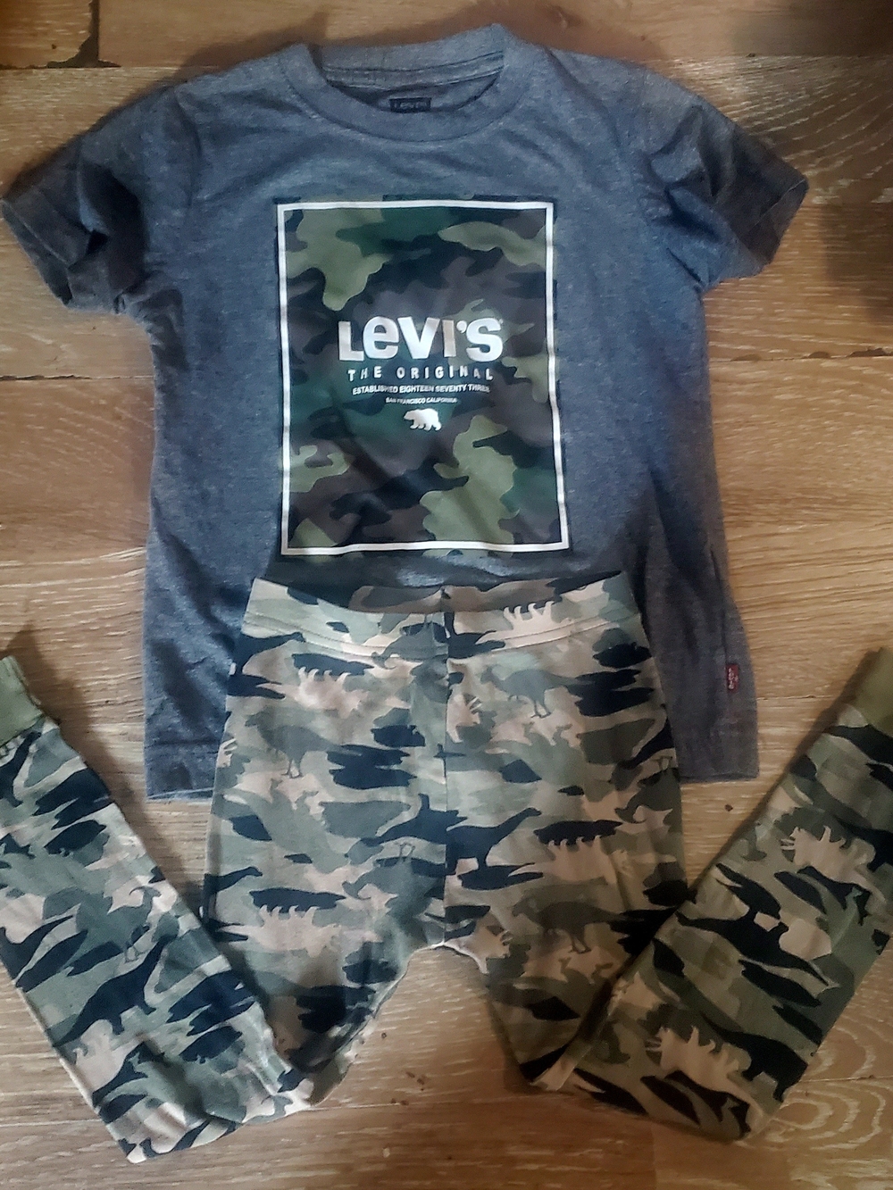 Levi's Little Boys Gray Tee and Camo Bottoms Set - Green/Gray